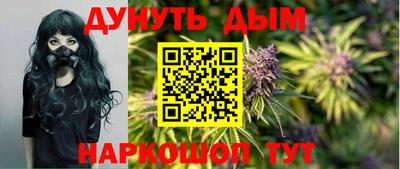прущие крисы Гай