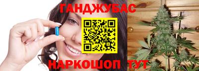прущие крисы Гай