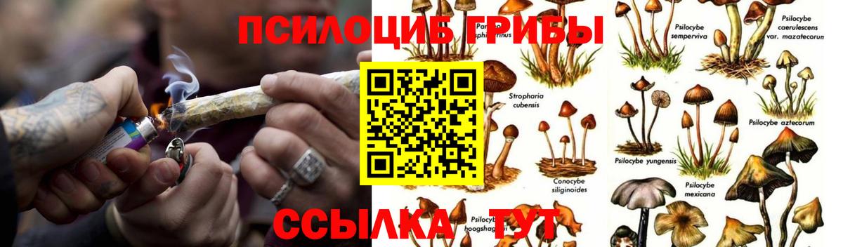 Чехов  как найти наркотики  Вход с VPN  Галлюциногенные грибы Magic Shrooms  Псилоцибиновые грибы GOLDEN TEACHER 